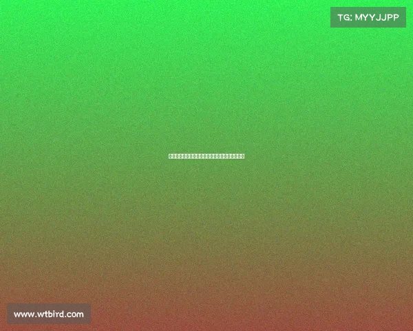 足球球员续约合同签订全过程及关键环节解析报告