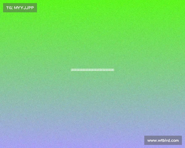 西甲国际比赛日:各国球员回归备战,聚焦欧洲顶级联赛新动态 西甲国际比赛日:各国球员回归备战,聚焦欧洲顶级联赛新动态