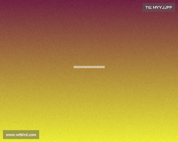 法甲联赛中传中进攻战术的演变与成功案例分析 法甲联赛中传中进攻战术的演变与成功案例分析