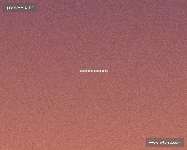 德甲联赛最新轮次精彩回顾与球队表现分析