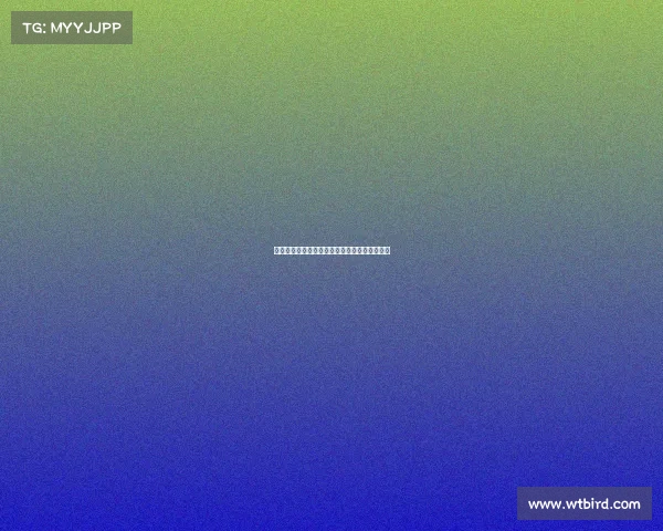 英超拉美球员风采：技术与激情并存的绿茵传奇