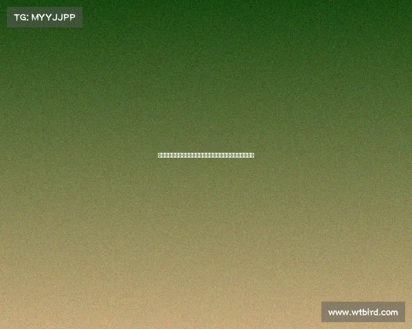 阿迪达斯计划新赛季全面启用三叶草标识加强客场球衣品牌效应