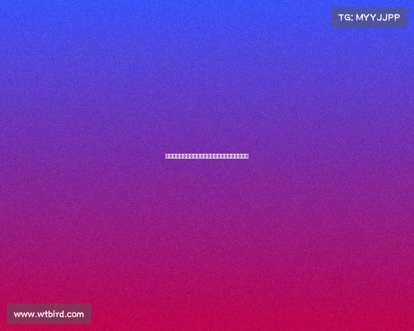 德温特确认加盟米兰曾与阿莱格里共事尤文助力新篇章