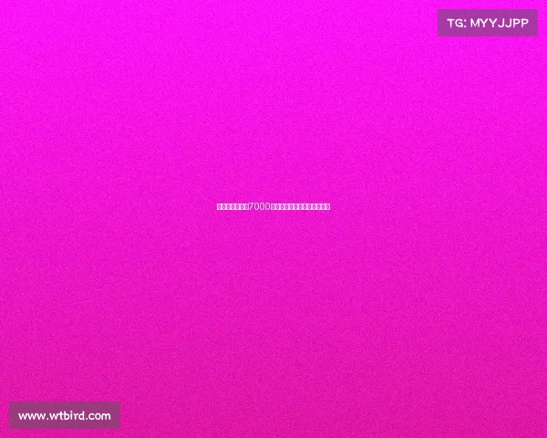 纽卡斯尔报价超7000万欧元求购巴黎前锋埃基蒂克