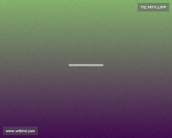 罗马诺:马赛今夏计划留住巴列尔迪并已制定明确方案