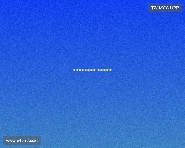 莫雷托:纽卡未放弃引进佳夫计划 将与米兰再次展开接触