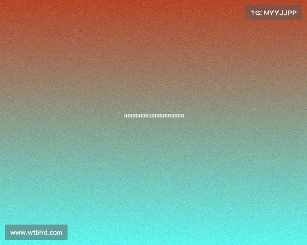 超算预测英超金靴归属 哈兰德领先哲凯赖什跻身前三