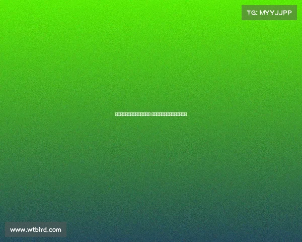 贝尔巴托夫谨慎评价谢什科前景 霍伊伦需保持正确心态才能成功 贝尔巴托夫谨慎评价谢什科前景 霍伊伦需保持正确心态才能成功