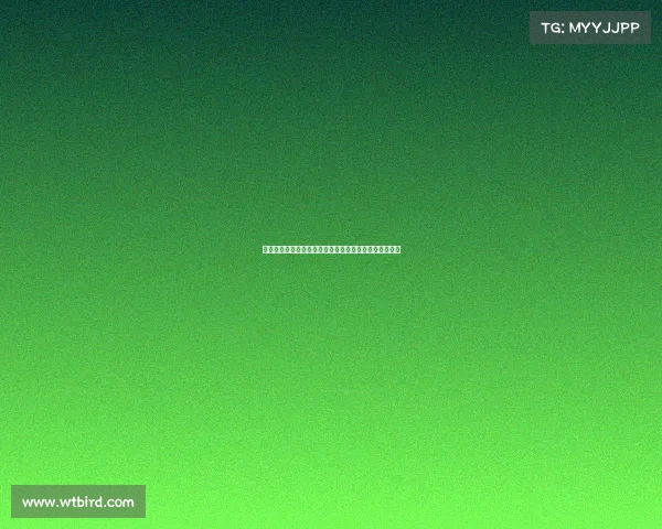 西媒曝罗梅乌或重返赫罗纳需先解约巴萨并接受降薪条件 西媒曝罗梅乌或重返赫罗纳需先解约巴萨并接受降薪条件